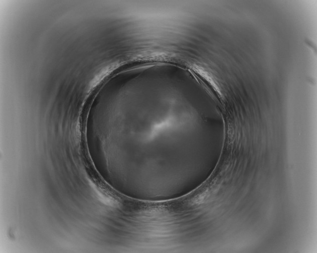 X0000095910674200801181356