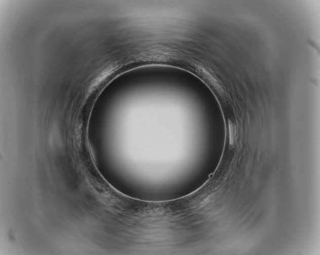 X0000095910675200801181356