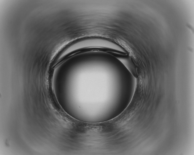 X0000095910676200801181356