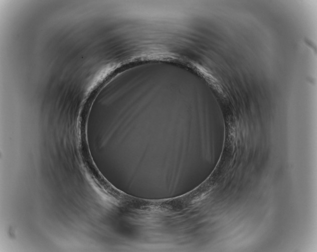 X0000095910678200801181356