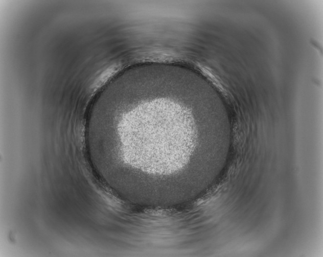 X0000095910679200801181356