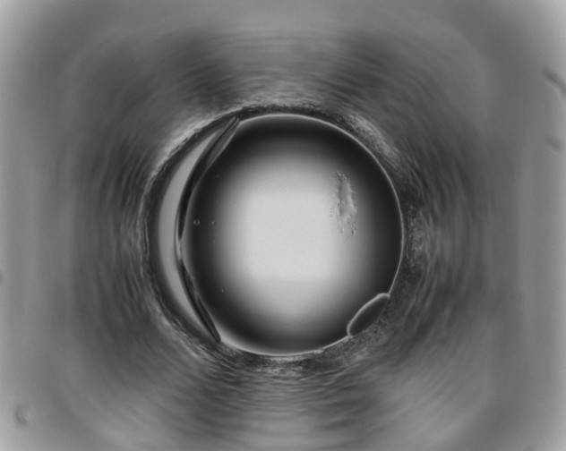 X0000095910680200801181356