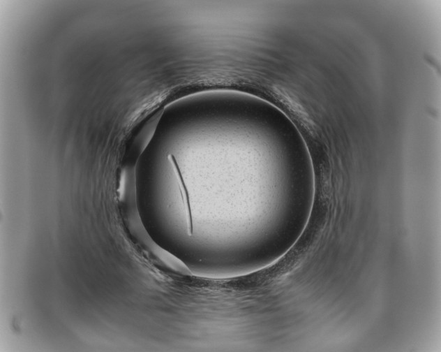 X0000095910681200801181356