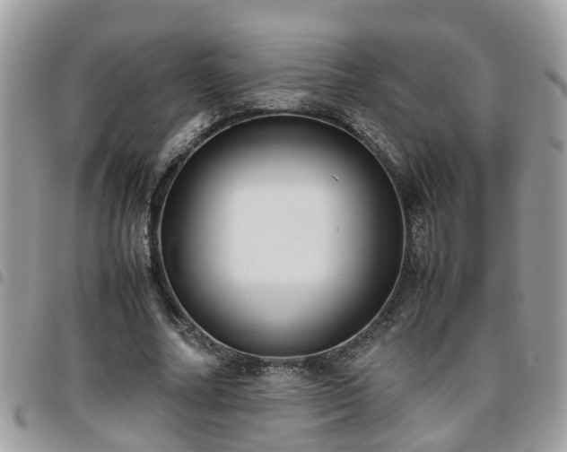 X0000095910682200801181356