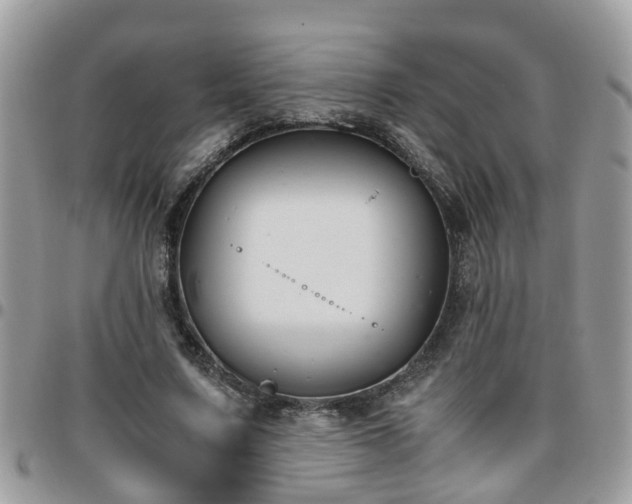 X0000095910683200801181356