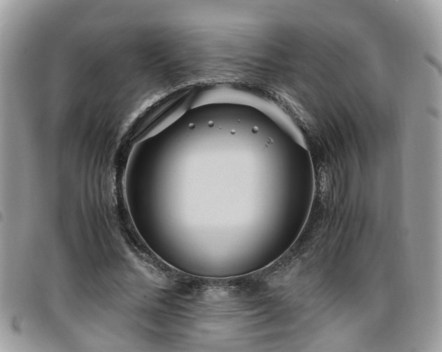 X0000095910684200801181356