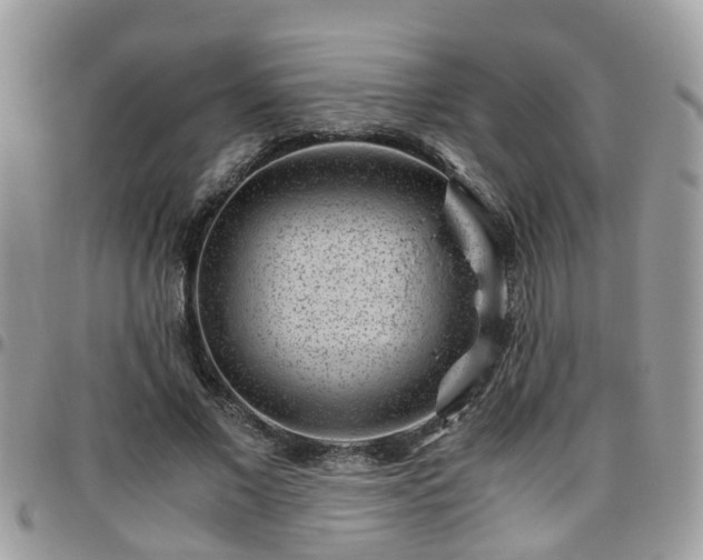 X0000095910685200801181356