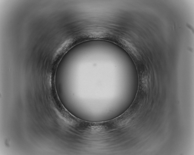 X0000095910686200801181356