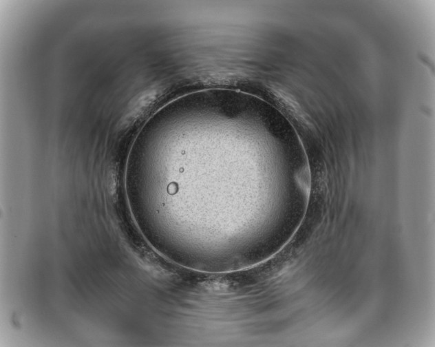 X0000095910687200801181356