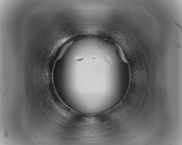 X0000095910688200801181356