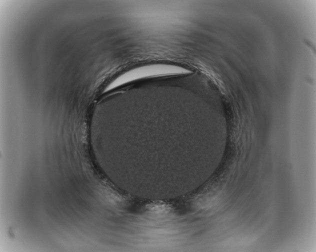 X0000095910689200801181356