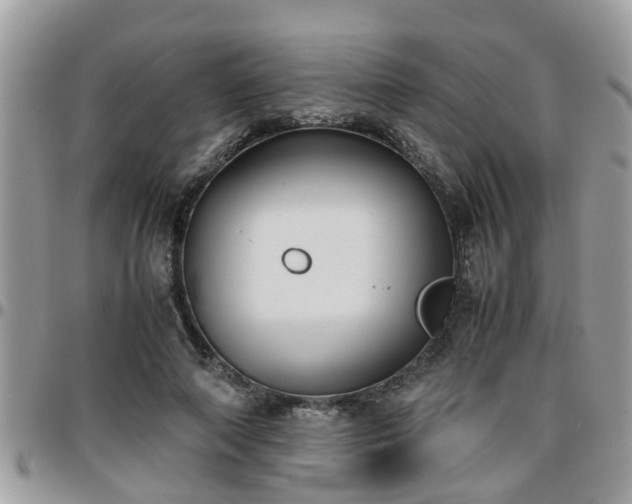 X0000095910690200801181356