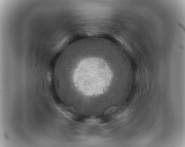 X0000095910691200801181356