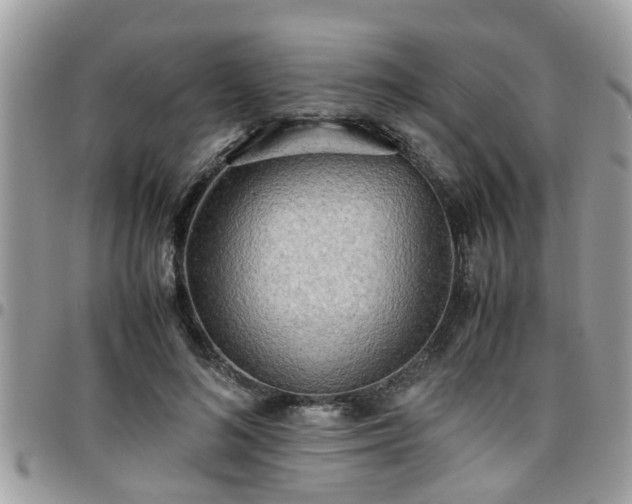 X0000095910692200801181356