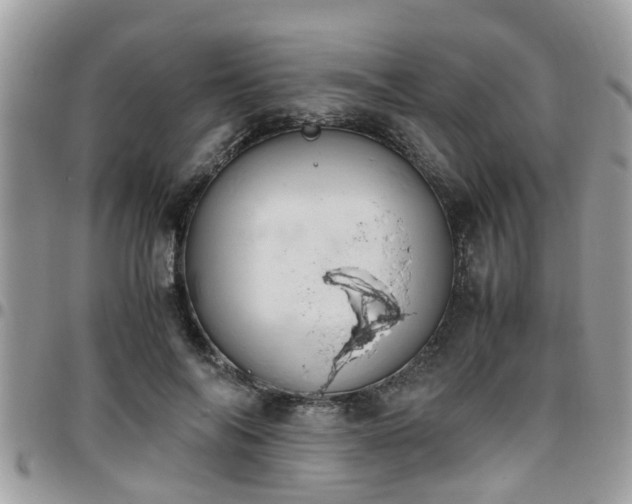 X0000095910694200801181356