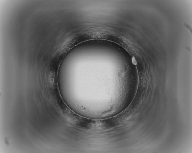 X0000095910695200801181356