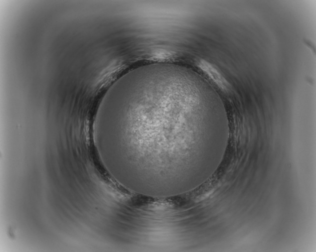 X0000095910696200801181356