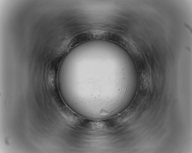 X0000095910698200801181356