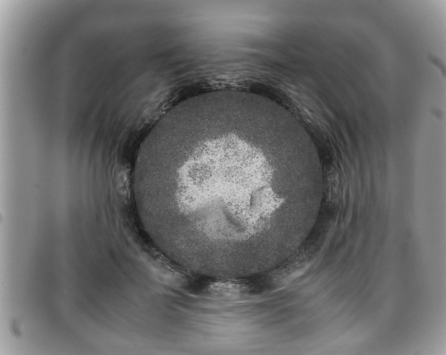 X0000095910699200801181356