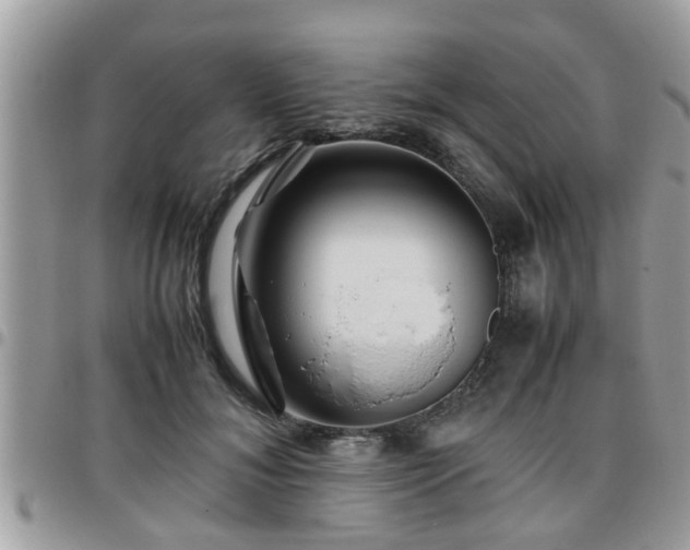 X0000095910700200801181356