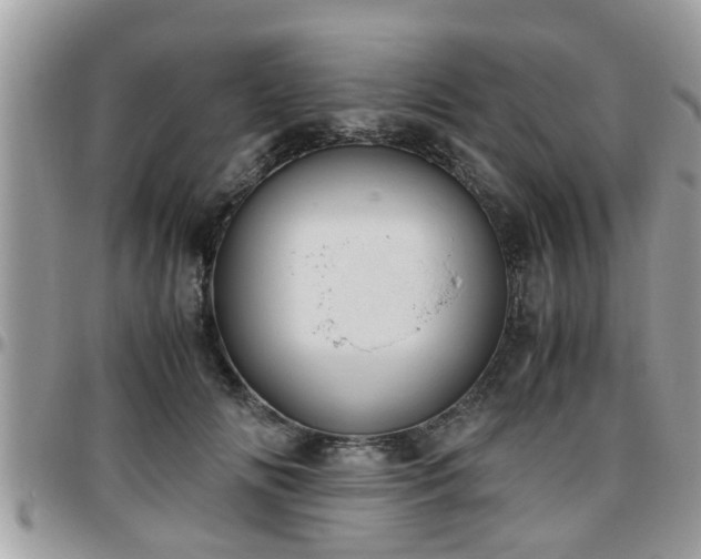 X0000095910702200801181356