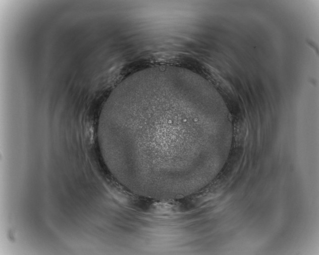 X0000095910703200801181356