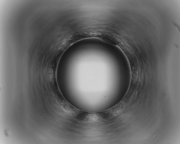 X0000095910704200801181356