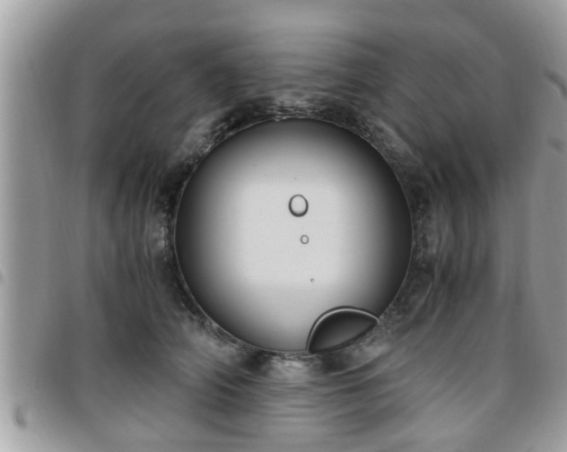 X0000095910706200801181356