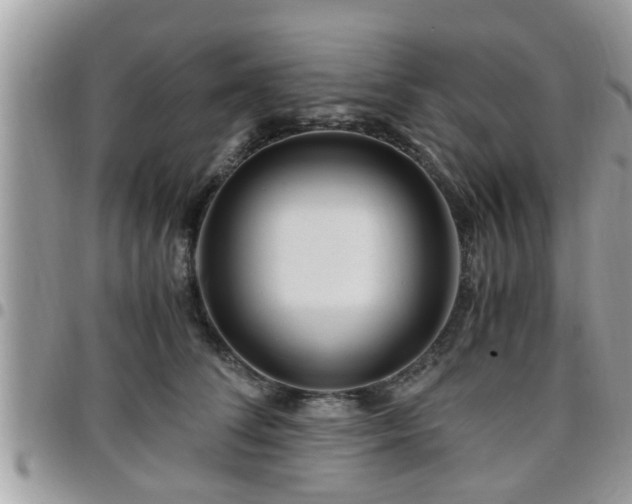 X0000095910708200801181356