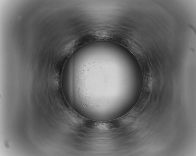 X0000095910710200801181356