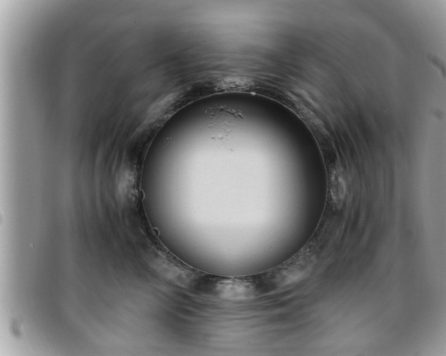 X0000095910714200801181356