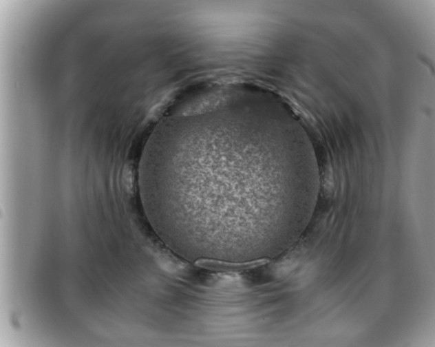 X0000095910715200801181356