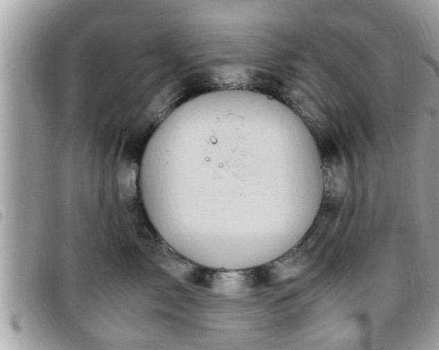 X0000095910717200801181356