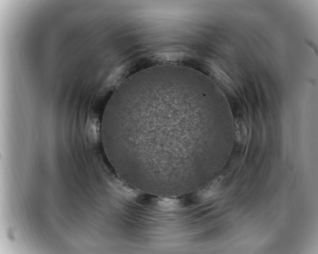 X0000095910718200801181356