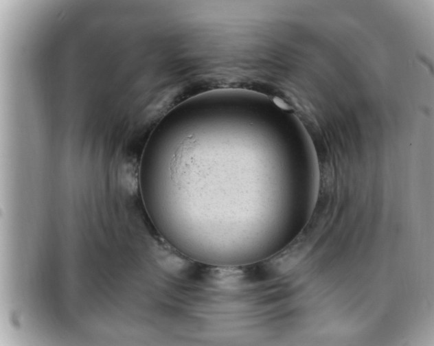 X0000095910719200801181356