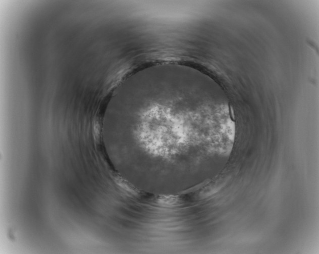 X0000095910720200801181356