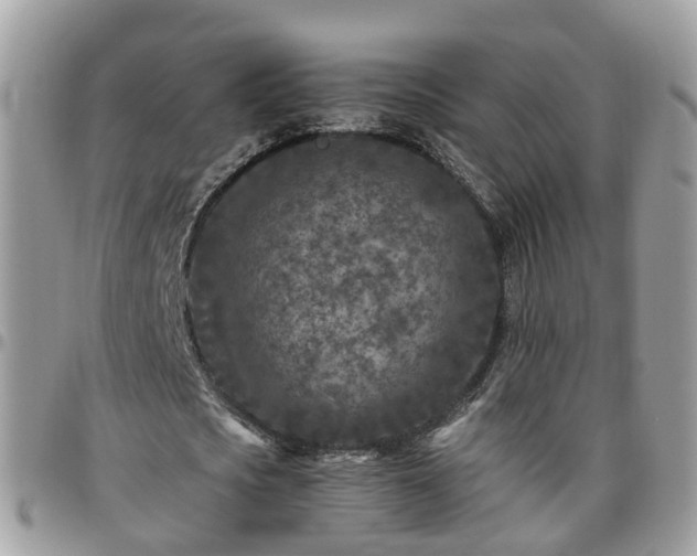 X0000095910721200801181355