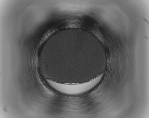 X0000095910722200801181355