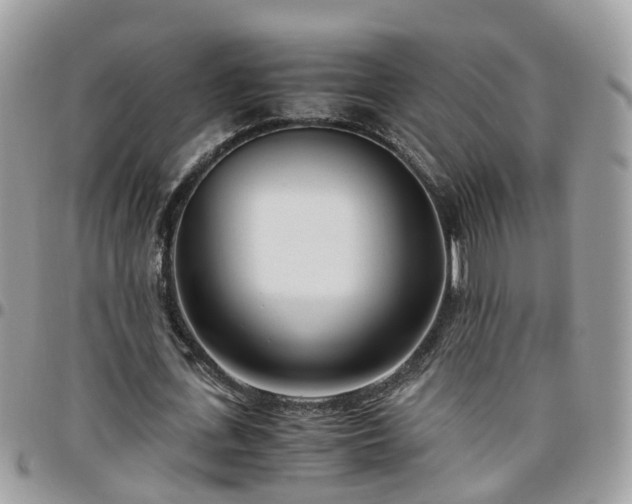 X0000095910723200801181355