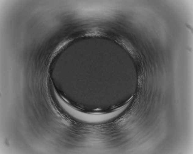 X0000095910724200801181355