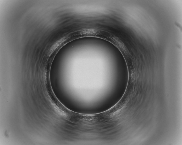 X0000095910725200801181355