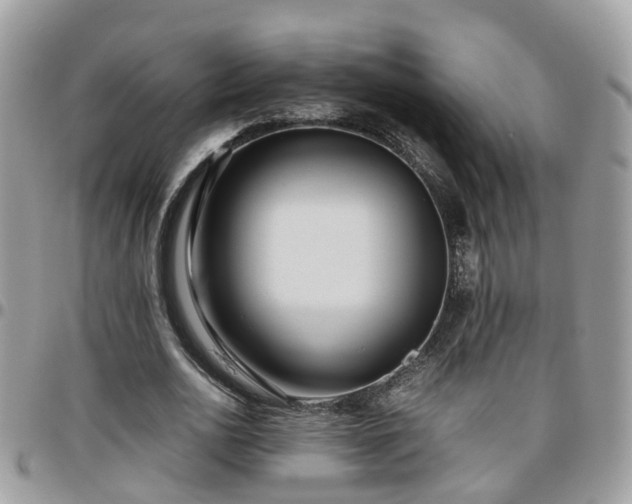 X0000095910726200801181355