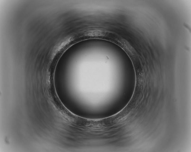 X0000095910727200801181355