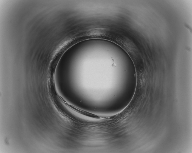 X0000095910728200801181355