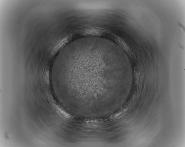 X0000095910729200801181355