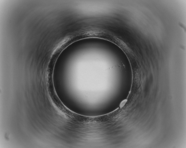 X0000095910730200801181355