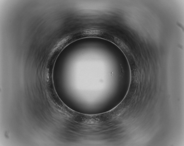 X0000095910731200801181355