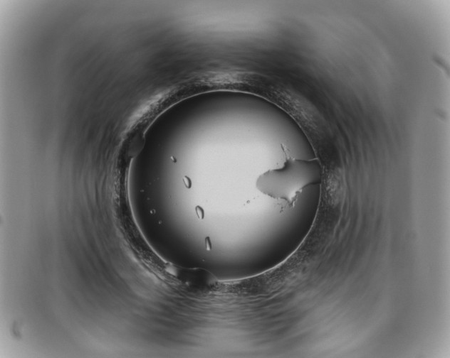 X0000095910732200801181355