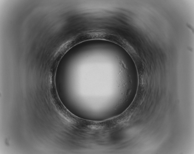 X0000095910733200801181355