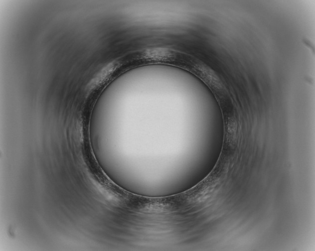 X0000095910734200801181355